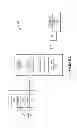 Fig. 04 - WIRELESS WIDE AREA NETWORK CHARACTERISTICS INDICATED OVER A WIRELESS LOCAL AREA NETWORK