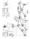 Fig. 03 - Notification by network element of packet drops