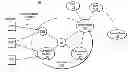 Fig. 01 - Sharing IP network resources
