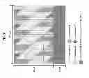 Fig. 05 - Transmitting system and method for transmitting digital broadcast signal