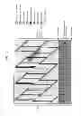 Fig. 19 - Transmitting system and method for transmitting digital broadcast signal