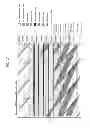 Fig. 20 - Transmitting system and method for transmitting digital broadcast signal