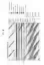 Fig. 22 - Transmitting system and method for transmitting digital broadcast signal