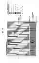 Fig. 31 - Transmitting system and method for transmitting digital broadcast signal