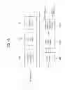 Fig. 46 - Transmitting system and method for transmitting digital broadcast signal