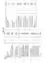 Fig. 56 - Transmitting system and method for transmitting digital broadcast signal