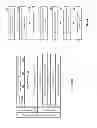 Fig. 19 - Check operation dispersed storage network frame