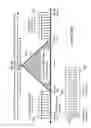 Fig. 46 - Systems and methods for advanced iterative decoding and channel estimation of concatenated coding systems