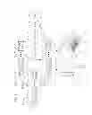 Fig. 02 - Distributed event delivery