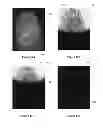 Fig. 17 - Fake fingerprint detection system