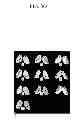 Fig. 07 - Apparatus and method for acquiring multi-parametric images in magnetic resonance imaging device