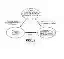 Fig. 02 - Methods and Devices for Quantitative Analysis of X-Ray Images