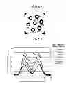 Fig. 44 - Multi-core optical fiber and optical transmission system