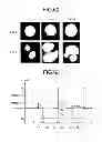Fig. 50 - Multi-core optical fiber and optical transmission system