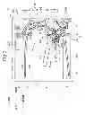 Fig. 04 - Support unit and image forming apparatus