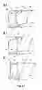 Fig. 83 - Developer supply container and developer supplying system