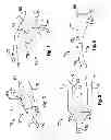 Fig. 04 - Method and apparatus for performing burial assessment surveys