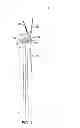 Fig. 02 - Wind blades with mechanical elements for pretensioning in tension fabrics