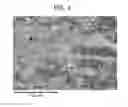 Fig. 04 - METHOD OF HEAT TREATING A SUPERALLOY ARTICLE AND ARTICLE MADE THEREBY