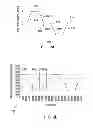 Fig. 06 - Hydraulic control system for a reverse osmosis hydraulic pump