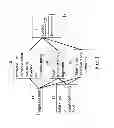 Fig. 02 - Use of non-labeled sugars and detection by MRI for assessing tissue perfusion and metabolism