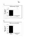 Fig. 02 - Treatment method for mesenchymal stem cells and their application as a treatment of oxidative stress related diseases