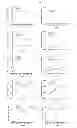 Fig. 03 - Treatment method for mesenchymal stem cells and their application as a treatment of oxidative stress related diseases