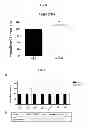 Fig. 04 - Treatment method for mesenchymal stem cells and their application as a treatment of oxidative stress related diseases