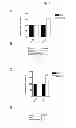 Fig. 05 - Treatment method for mesenchymal stem cells and their application as a treatment of oxidative stress related diseases