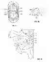 Fig. 02 - DEVICES AND METHODS FOR TREATING PAIN ASSOCIATED WITH TONSILLECTOMIES