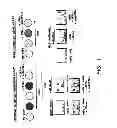 Fig. 02 - Anti-interferon alpha monoclonal antibodies and methods for use