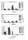 Fig. 07 - Anti-interferon alpha monoclonal antibodies and methods for use