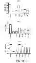 Fig. 08 - Anti-interferon alpha monoclonal antibodies and methods for use