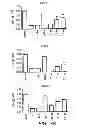 Fig. 09 - Anti-interferon alpha monoclonal antibodies and methods for use