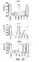 Fig. 10 - Anti-interferon alpha monoclonal antibodies and methods for use