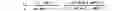 Fig. 02 - SPECIFIC BINDING AGENTS TO HEPATOCYTE GROWTH FACTOR