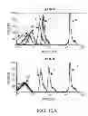 Fig. 30 - SPECIFIC BINDING AGENTS TO HEPATOCYTE GROWTH FACTOR