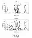 Fig. 32 - SPECIFIC BINDING AGENTS TO HEPATOCYTE GROWTH FACTOR