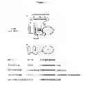 Fig. 02 - Recombinant immunotoxin targeting mesothelin