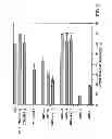 Fig. 05 - Method for the treatment of inflammatory disorders