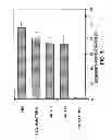 Fig. 07 - Method for the treatment of inflammatory disorders