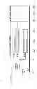 Fig. 06 - Method of reducing cholesterol levels using a human anti-PCSK9 antibody