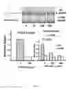 Fig. 06 - Antimicrobial compositions for treating microbial infections