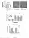 Fig. 08 - Antimicrobial compositions for treating microbial infections