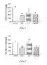 Fig. 02 - Pharmaceutical compositions comprising fatty acids
