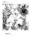 Fig. 02 - Agglomerating magnetic alkoxysilane-coated nanoparticles