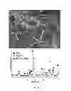 Fig. 07 - Bioresorbable metal alloy and implants made of same