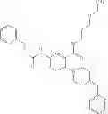 Fig. 04 - Modulation of thymosin beta-4 in skin