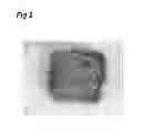Fig. 03 - IMPREGNATION TYPE PUFFED FOOD AND METHOD FOR PRODUCING SAME