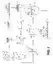 Fig. 02 - Aerated Sauce and Methods for Manufacturing and Dispensing the Same